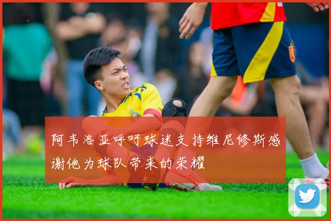 阿韦洛亚呼吁球迷支持维尼修斯感谢他为球队带来的荣耀